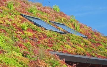Leigh On Sea living roof systems