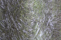 Leigh On Sea fibreglass roof work